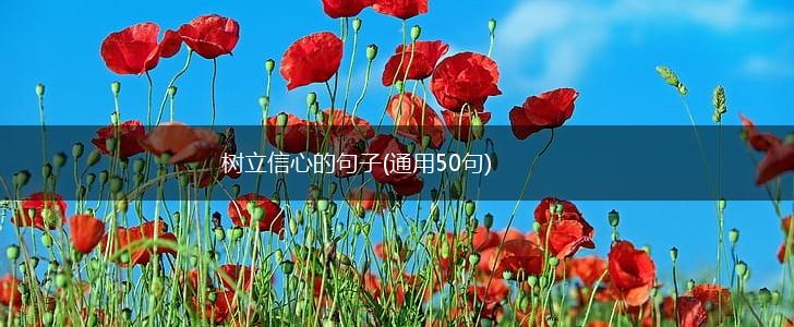 树立信心的句子(通用50句),第1张