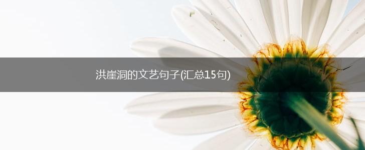 洪崖洞的文艺句子(汇总15句),第1张