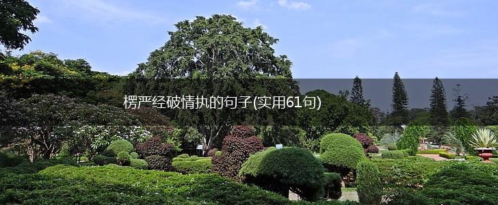 楞严经破情执的句子(实用61句),第1张