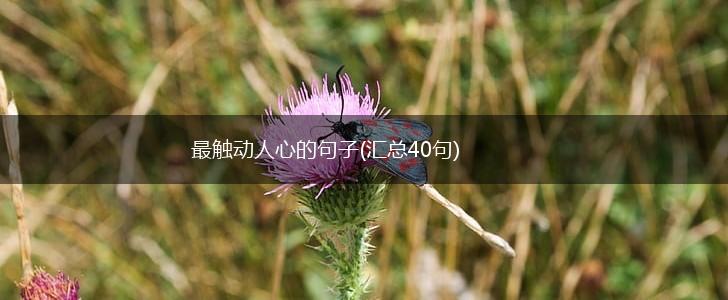 最触动人心的句子(汇总40句),第1张