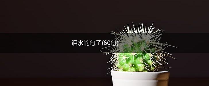 泪水的句子(60句),第1张