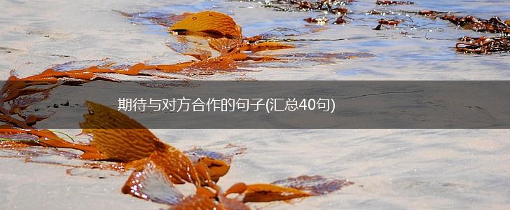 期待与对方合作的句子(汇总40句),第1张