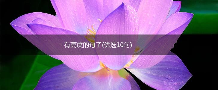 有高度的句子(优选10句),第1张
