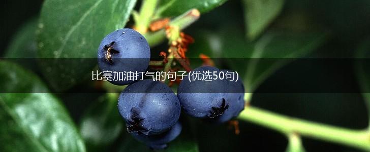 比赛加油打气的句子(优选50句),第1张 比赛加油打气的句子(优选50句),第1张