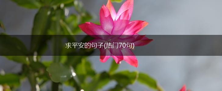 求平安的句子(热门70句),第1张