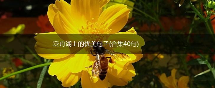 泛舟湖上的优美句子(合集40句),第1张