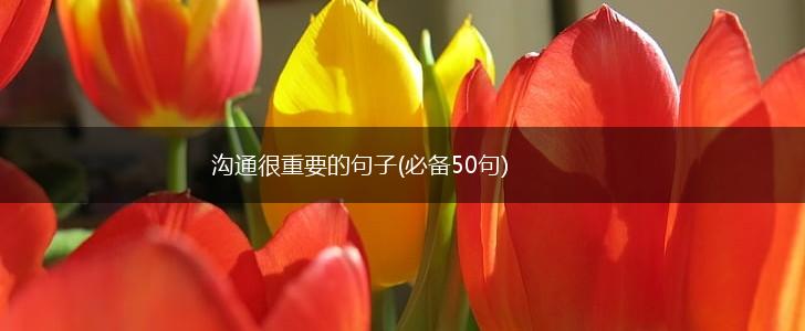 沟通很重要的句子(必备50句),第1张