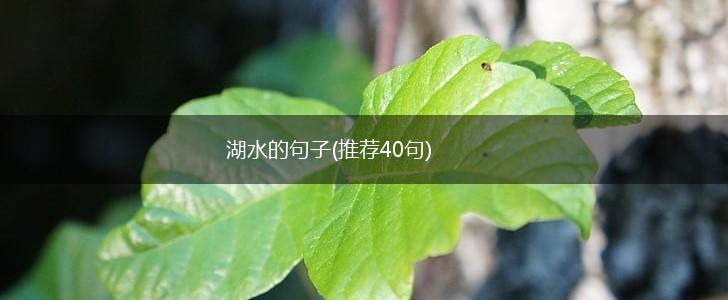 湖水的句子(推荐40句),第1张