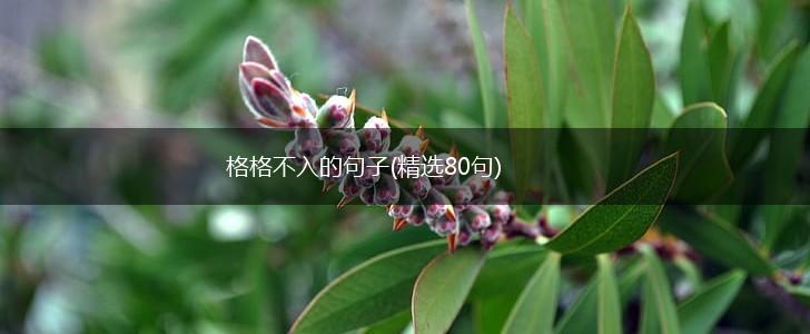 格格不入的句子(精选80句),第1张