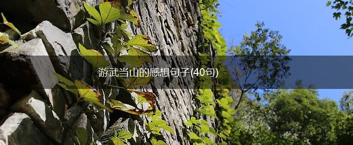 游武当山的感想句子(40句),第1张