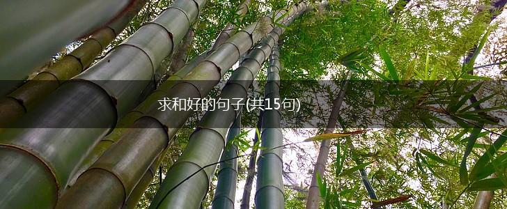 求和好的句子(共15句),第1张