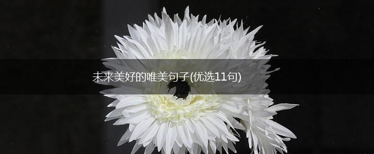 未来美好的唯美句子(优选11句),第1张