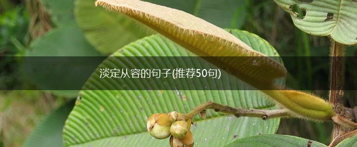 淡定从容的句子(推荐50句),第1张