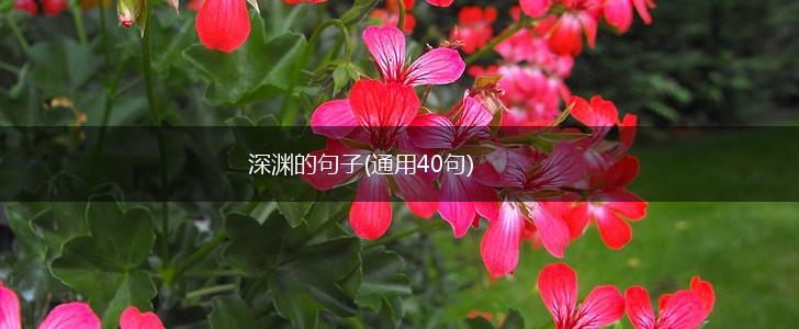 深渊的句子(通用40句),第1张