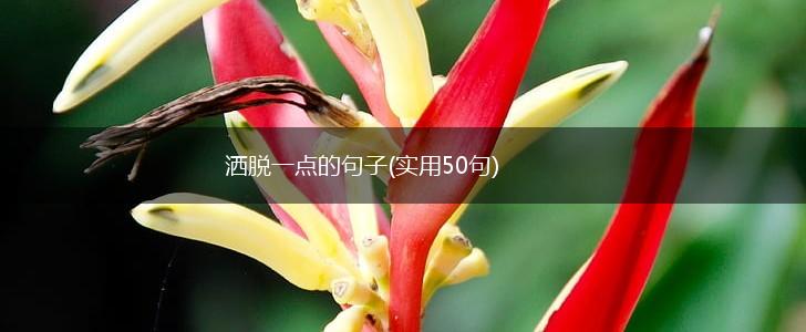 洒脱一点的句子(实用50句),第1张