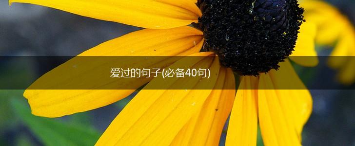爱过的句子(必备40句),第1张