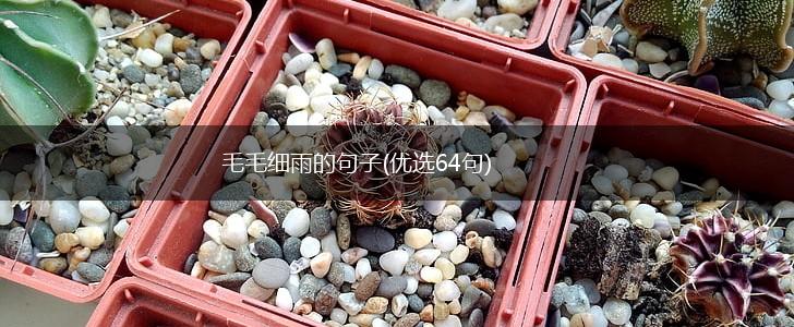 毛毛细雨的句子(优选64句),第1张