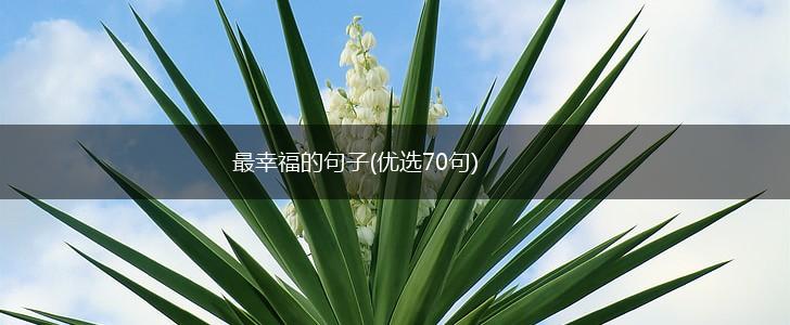 最幸福的句子(优选70句),第1张
