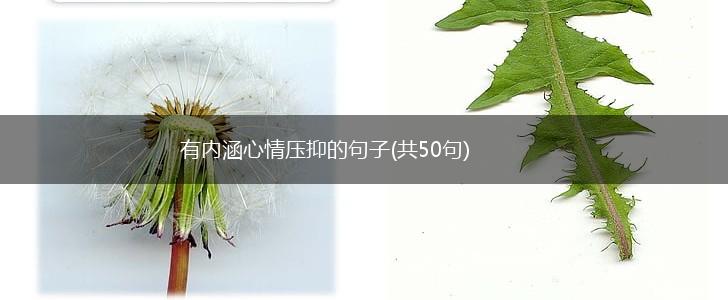 有内涵心情压抑的句子(共50句),第1张