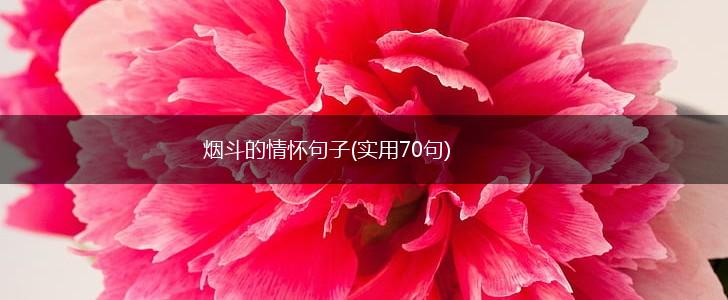烟斗的情怀句子(实用70句),第1张