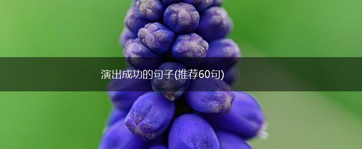 演出成功的句子(推荐60句),第1张