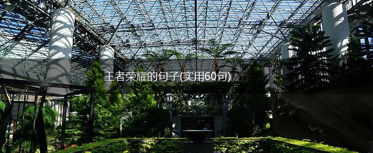 王者荣耀的句子(实用60句),第1张