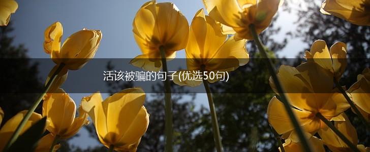 活该被骗的句子(优选50句),第1张