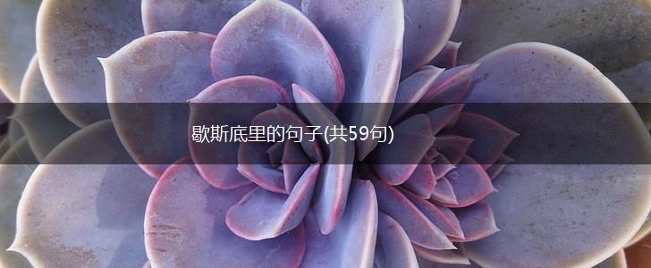歇斯底里的句子(共59句),第1张