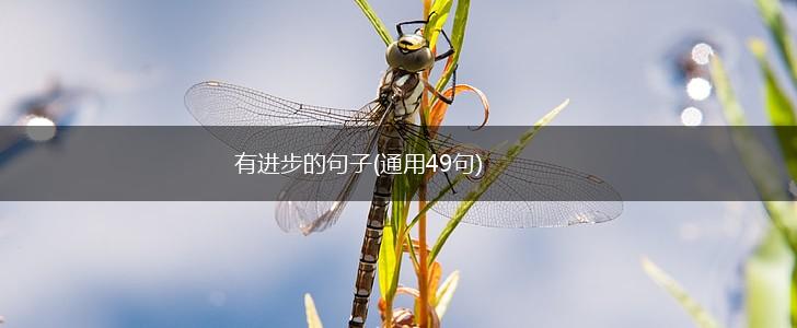 有进步的句子(通用49句),第1张