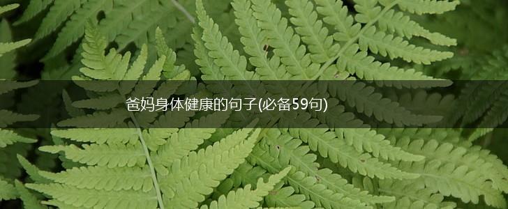 爸妈身体健康的句子(必备59句),第1张