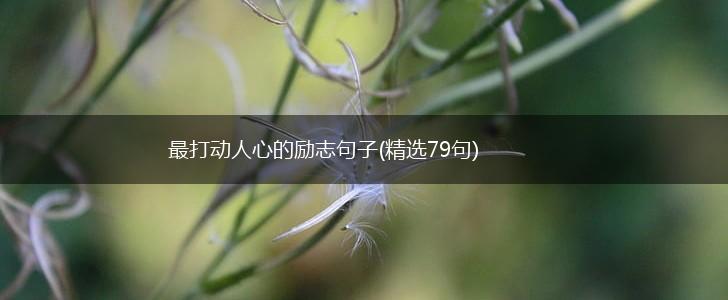 最打动人心的励志句子(精选79句),第1张