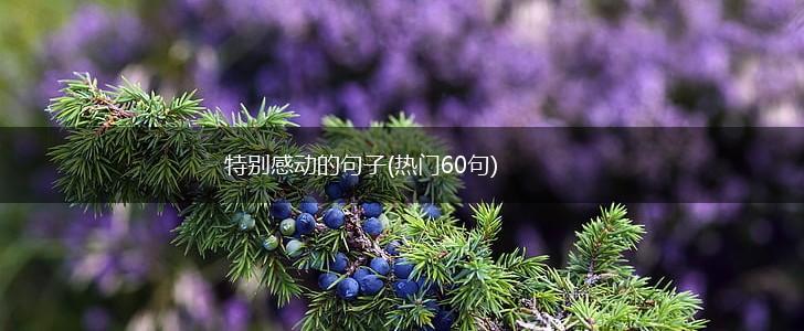 特别感动的句子(热门60句),第1张