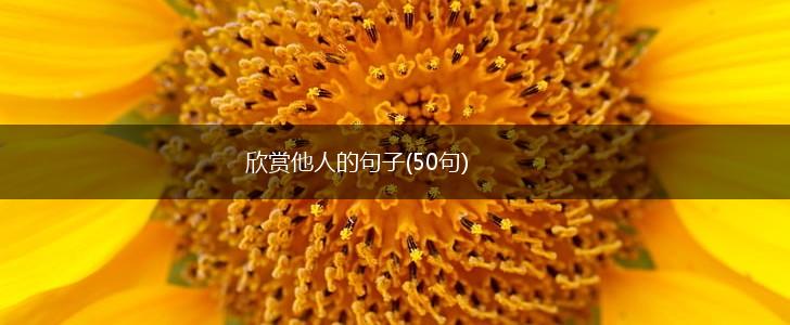 欣赏他人的句子(50句),第1张