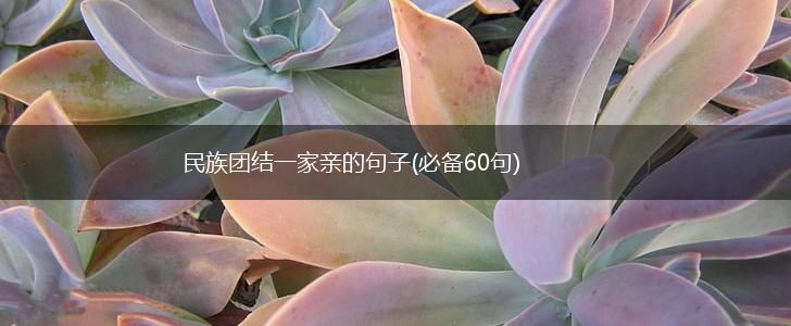民族团结一家亲的句子(必备60句),第1张