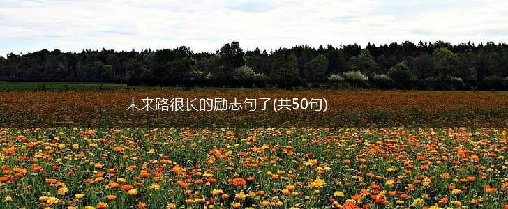 未来路很长的励志句子(共50句),第1张