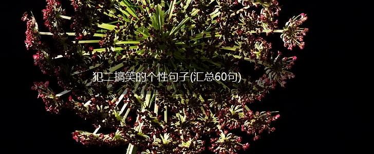 犯二搞笑的个性句子(汇总60句),第1张