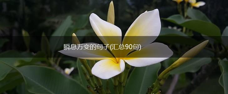 瞬息万变的句子(汇总90句),第1张