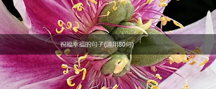 祝福幸福的句子(通用80句),第1张