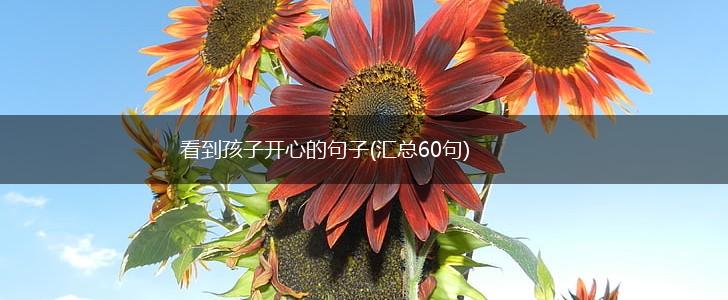 看到孩子开心的句子(汇总60句),第1张