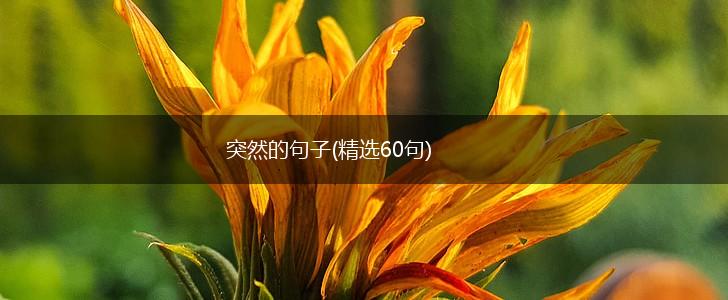 突然的句子(精选60句),第1张