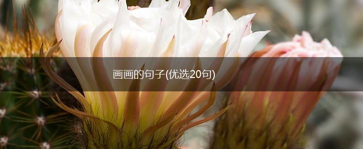 画画的句子(优选20句),第1张