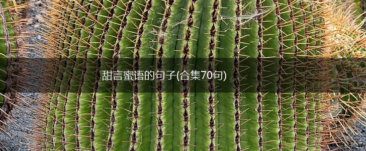 甜言蜜语的句子(合集70句),第1张