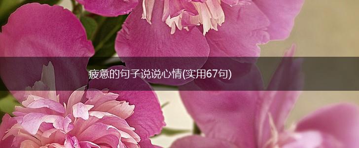 疲惫的句子说说心情(实用67句),第1张