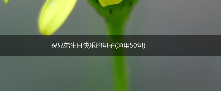 祝兄弟生日快乐的句子(通用50句),第1张