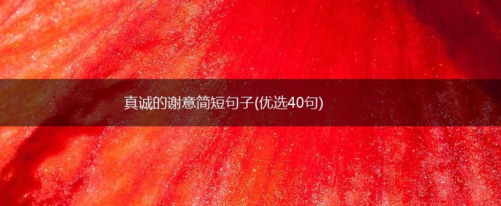 真诚的谢意简短句子(优选40句),第1张