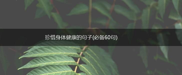 珍惜身体健康的句子(必备60句),第1张