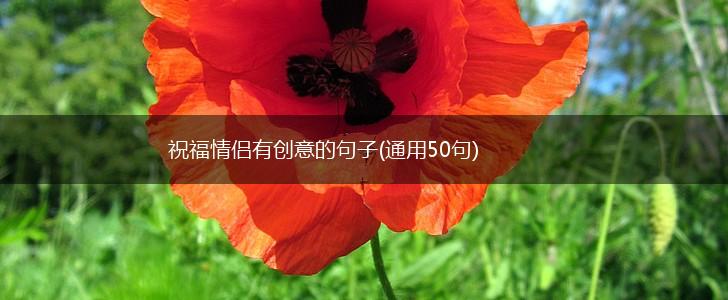 祝福情侣有创意的句子(通用50句),第1张