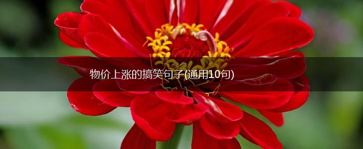 物价上涨的搞笑句子(通用10句),第1张