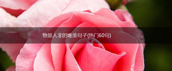 物是人非的唯美句子(热门60句),第1张