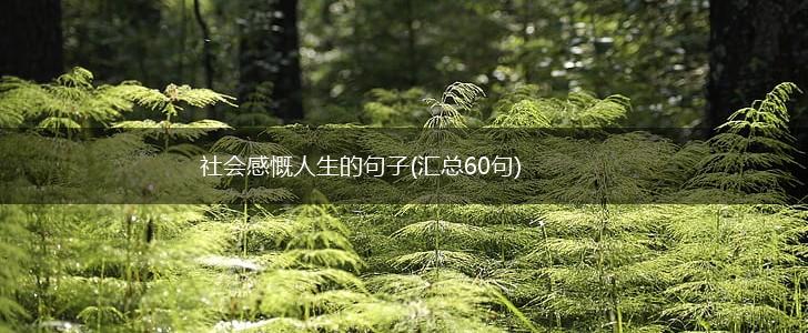 社会感慨人生的句子(汇总60句),第1张